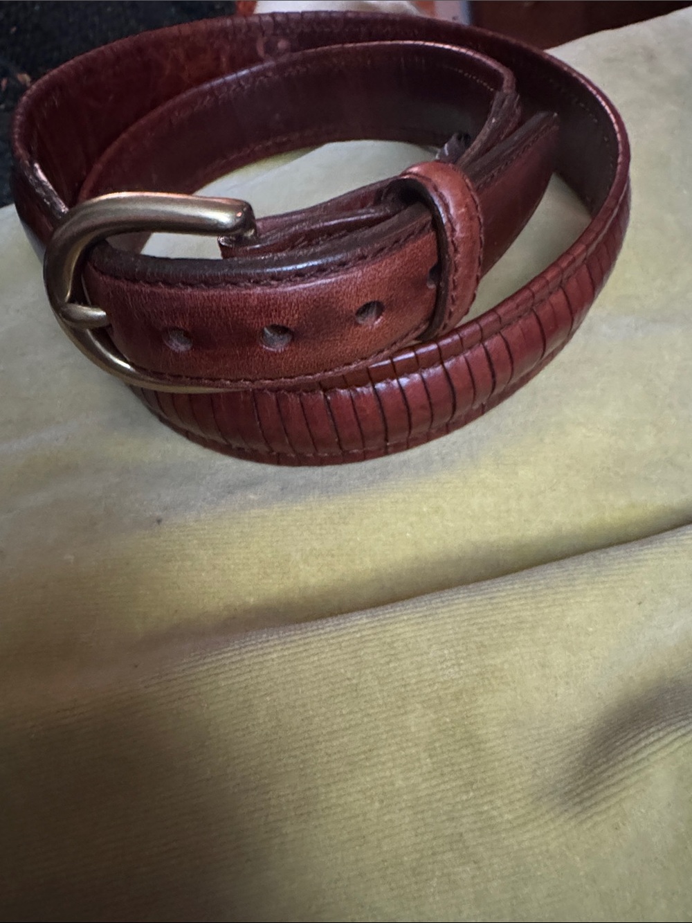 Brighton Brown Leather Belt with Ribbed Textured Panel